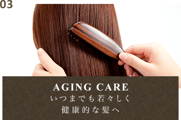 AGING CARE